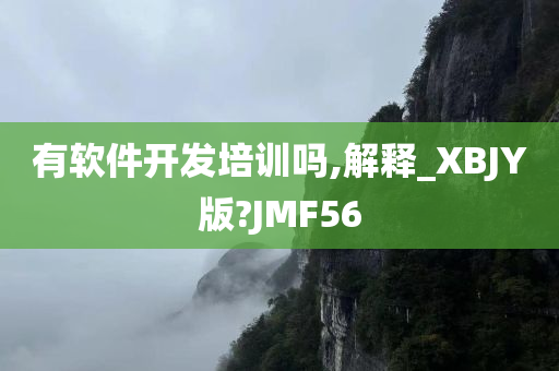 有软件开发培训吗,解释_XBJY版?JMF56