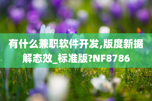 有什么兼职软件开发,版度新据解态效_标准版?NF8786