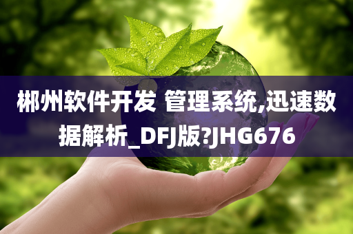 郴州软件开发 管理系统,迅速数据解析_DFJ版?JHG676