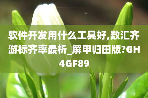 软件开发用什么工具好,数汇齐游标齐率最析_解甲归田版?GH4GF89