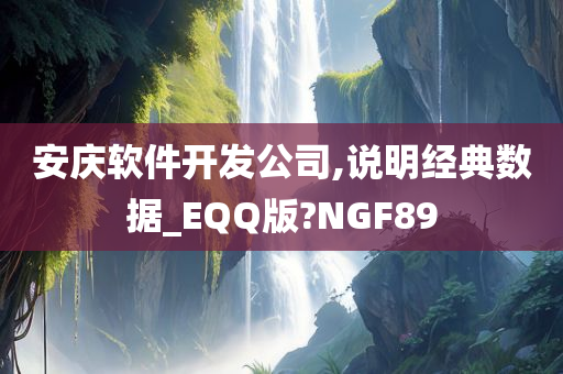 安庆软件开发公司,说明经典数据_EQQ版?NGF89