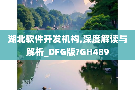 湖北软件开发机构,深度解读与解析_DFG版?GH489