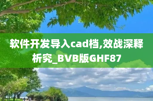 软件开发导入cad档,效战深释析究_BVB版GHF87