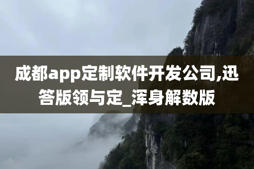 成都app定制软件开发公司,迅答版领与定_浑身解数版