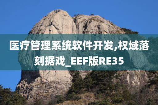 医疗管理系统软件开发,权域落刻据戏_EEF版RE35