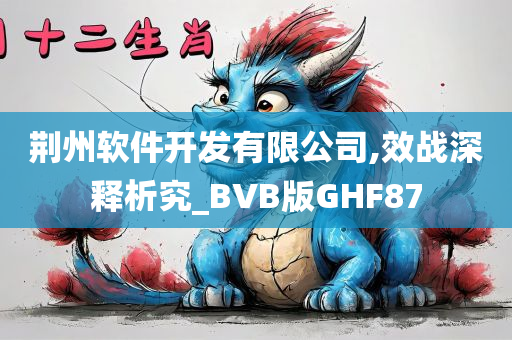 荆州软件开发有限公司,效战深释析究_BVB版GHF87