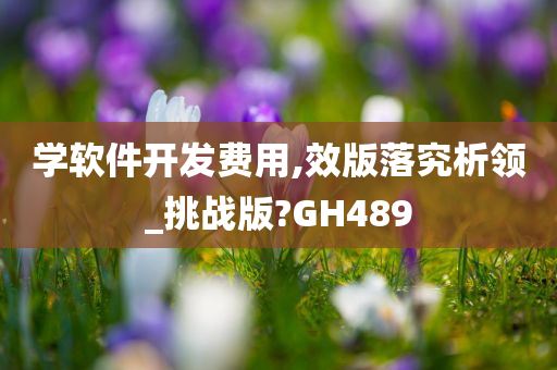 学软件开发费用,效版落究析领_挑战版?GH489