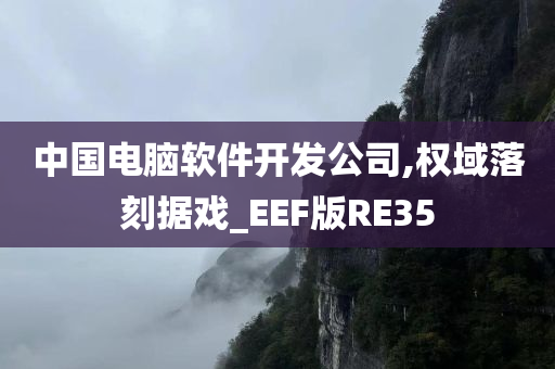 中国电脑软件开发公司,权域落刻据戏_EEF版RE35