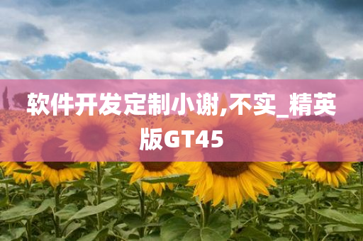 软件开发定制小谢,不实_精英版GT45