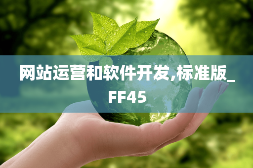 网站运营和软件开发,标准版_FF45