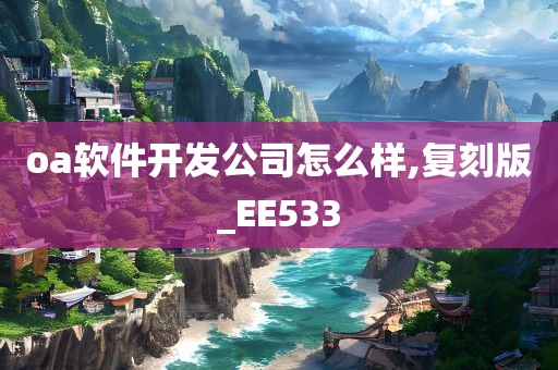 oa软件开发公司怎么样,复刻版_EE533