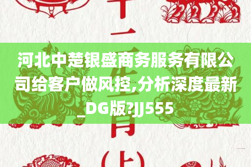 河北中楚银盛商务服务有限公司给客户做风控,分析深度最新_DG版?JJ555