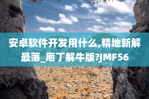 安卓软件开发用什么,精地新解最落_庖丁解牛版?JMF56