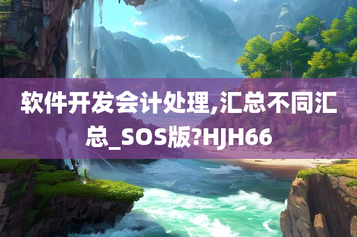 软件开发会计处理,汇总不同汇总_SOS版?HJH66