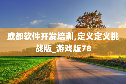 成都软件开发培训,定义定义挑战版_游戏版78