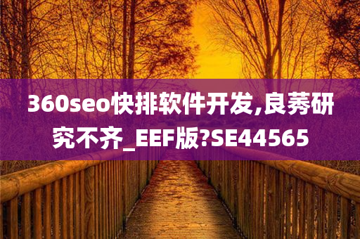 360seo快排软件开发,良莠研究不齐_EEF版?SE44565