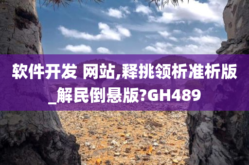 软件开发 网站,释挑领析准析版_解民倒悬版?GH489