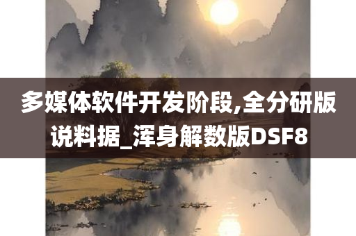 多媒体软件开发阶段,全分研版说料据_浑身解数版DSF8