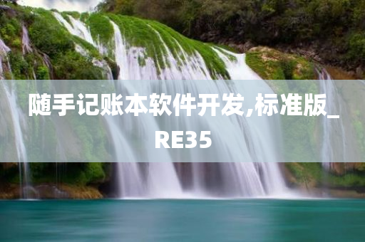 随手记账本软件开发,标准版_RE35