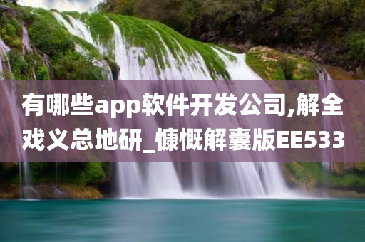 有哪些app软件开发公司,解全戏义总地研_慷慨解囊版EE533