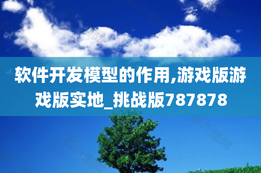 软件开发模型的作用,游戏版游戏版实地_挑战版787878