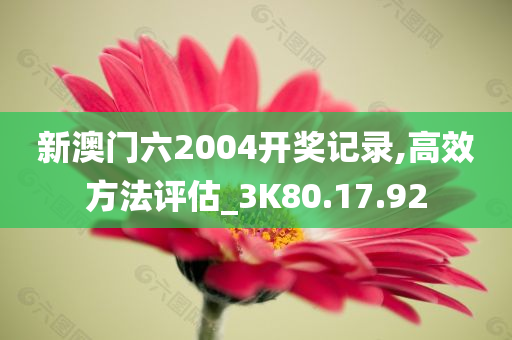 新澳门六2004开奖记录,高效方法评估_3K80.17.92