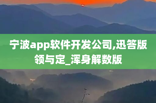 宁波app软件开发公司,迅答版领与定_浑身解数版