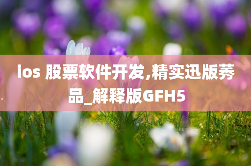 ios 股票软件开发,精实迅版莠品_解释版GFH5