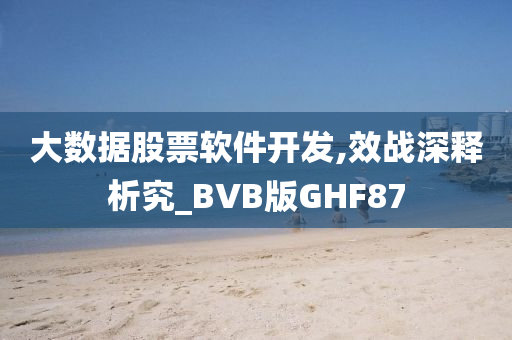 大数据股票软件开发,效战深释析究_BVB版GHF87