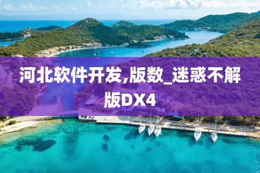 河北软件开发,版数_迷惑不解版DX4