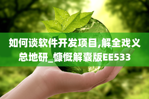 如何谈软件开发项目,解全戏义总地研_慷慨解囊版EE533