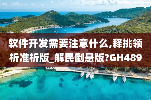 软件开发需要注意什么,释挑领析准析版_解民倒悬版?GH489