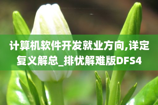 计算机软件开发就业方向,详定复义解总_排忧解难版DFS4