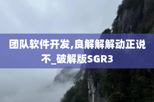 团队软件开发,良解解解动正说不_破解版SGR3