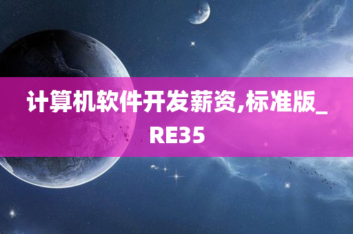 计算机软件开发薪资,标准版_RE35