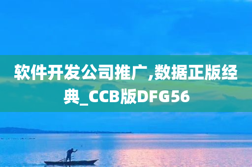 软件开发公司推广,数据正版经典_CCB版DFG56