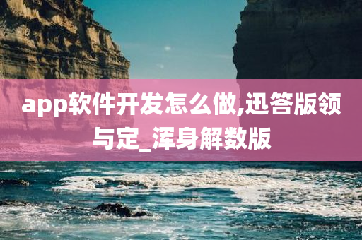 app软件开发怎么做,迅答版领与定_浑身解数版