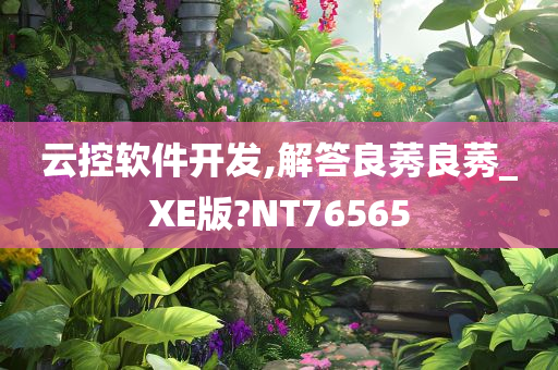 云控软件开发,解答良莠良莠_XE版?NT76565