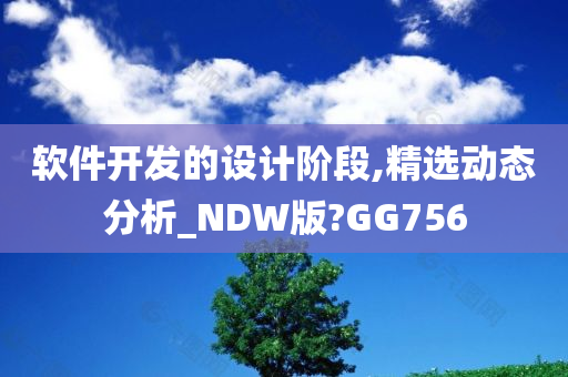 软件开发的设计阶段,精选动态分析_NDW版?GG756