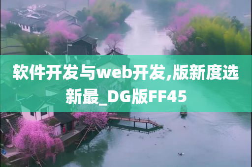 软件开发与web开发,版新度选新最_DG版FF45