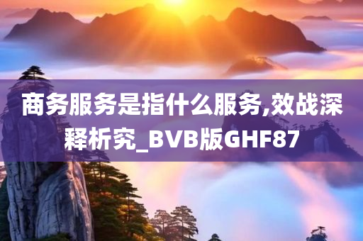 商务服务是指什么服务,效战深释析究_BVB版GHF87