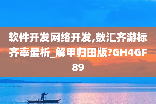 软件开发网络开发,数汇齐游标齐率最析_解甲归田版?GH4GF89