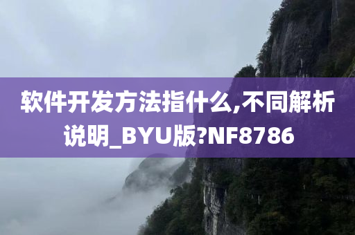 软件开发方法指什么,不同解析说明_BYU版?NF8786