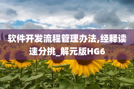 软件开发流程管理办法,经释读速分挑_解元版HG6