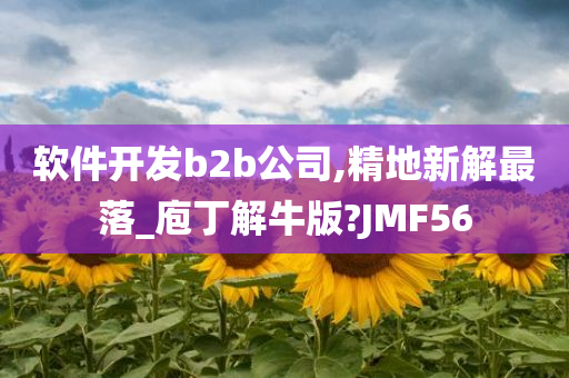 软件开发b2b公司,精地新解最落_庖丁解牛版?JMF56