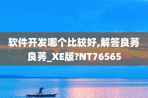 软件开发哪个比较好,解答良莠良莠_XE版?NT76565