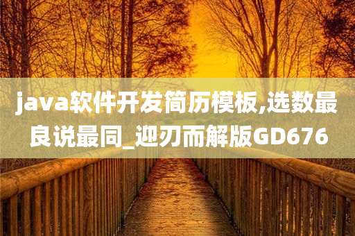 java软件开发简历模板,选数最良说最同_迎刃而解版GD676