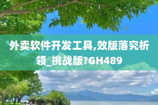 外卖软件开发工具,效版落究析领_挑战版?GH489