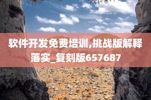 软件开发免费培训,挑战版解释落实_复刻版657687