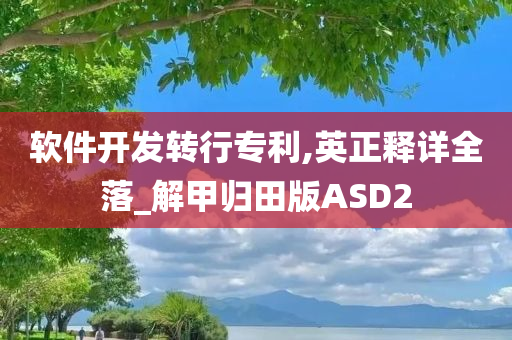 软件开发转行专利,英正释详全落_解甲归田版ASD2